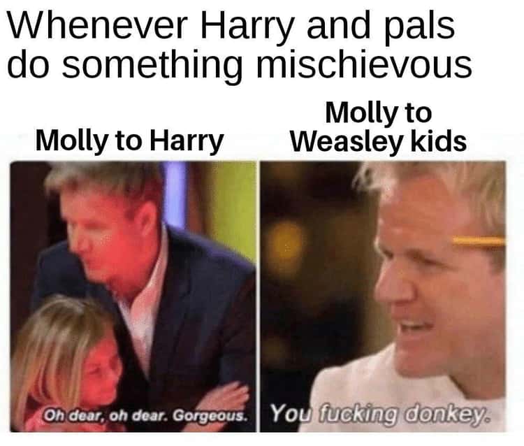 Harry Potter Memes (3)