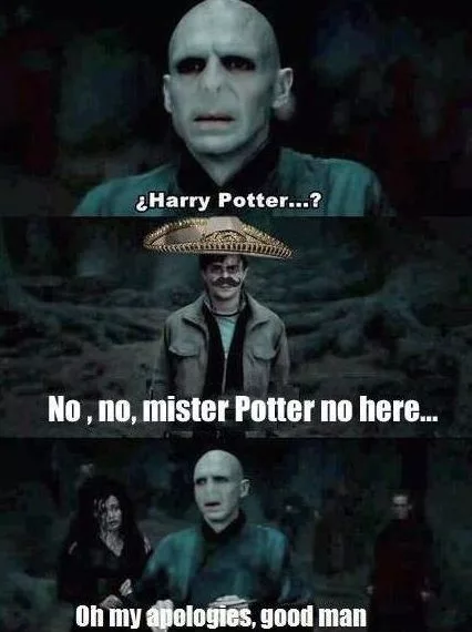 Harry Potter Memes (5)