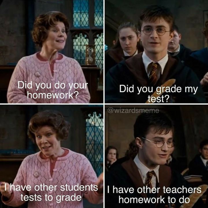 Harry Potter Memes (6)