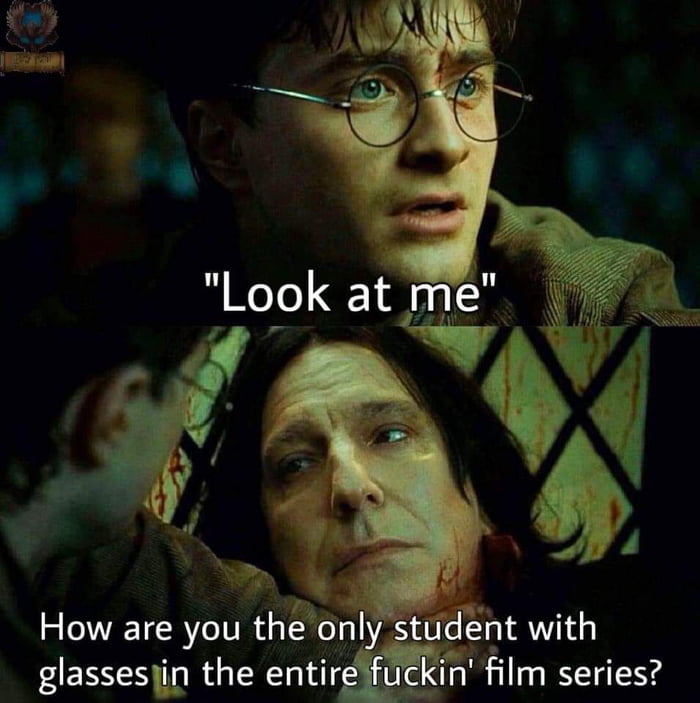 Harry Potter Memes (7)