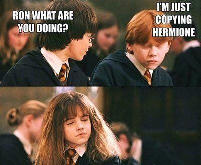 Harry Potter Memes (8)