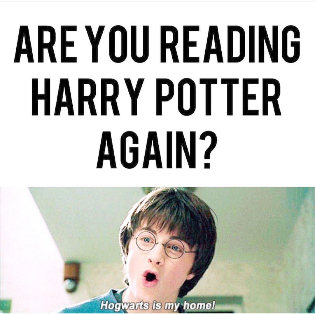 Harry Potter Memes (9)