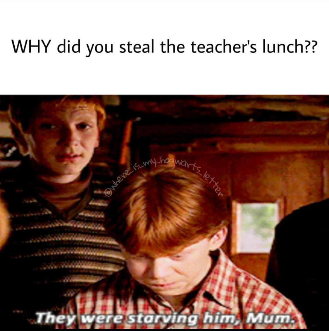 Hogwarts Funny Memes (1)