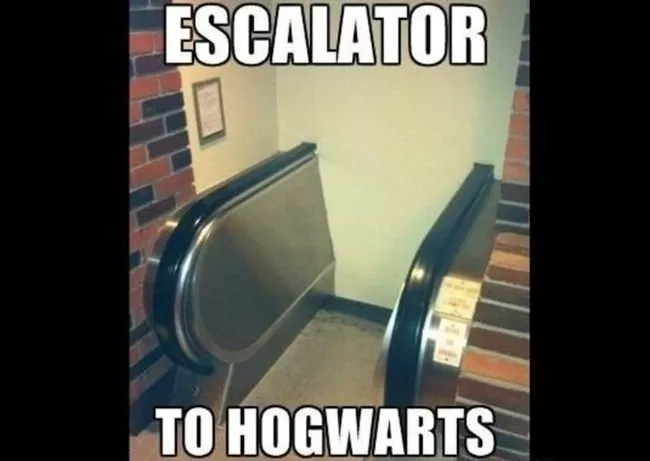 Hogwarts Funny Memes (1)