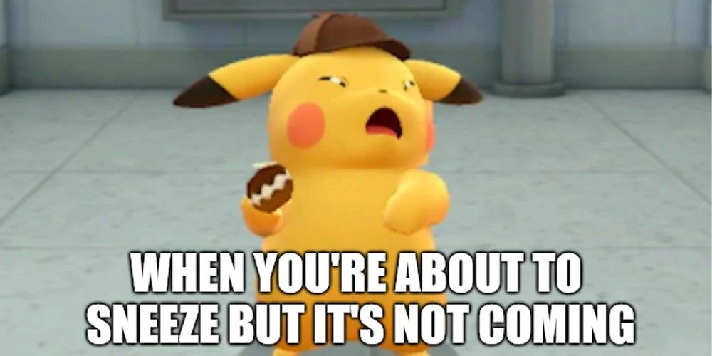 Pokemon Funny Memes (1)