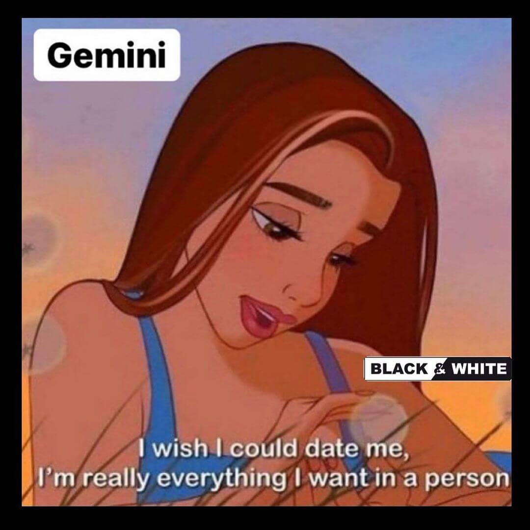 17funny Memes Only Gemini People Can Relate 1