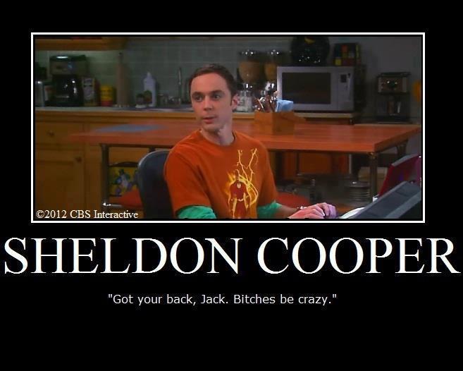 Funniest Big Bang Theory Memes10