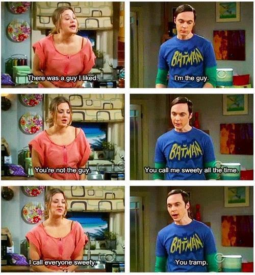 Funniest Big Bang Theory Memes11