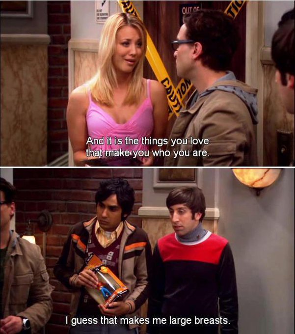 Funniest Big Bang Theory Memes15