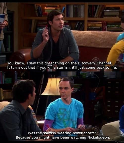 Funniest Big Bang Theory Memes7