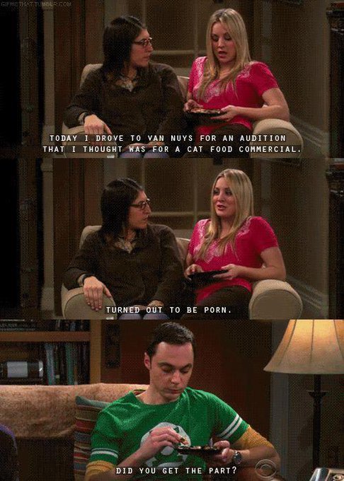 Funniest Big Bang Theory Memes8