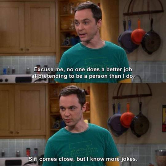 Funny Big Bang Theory Memes8
