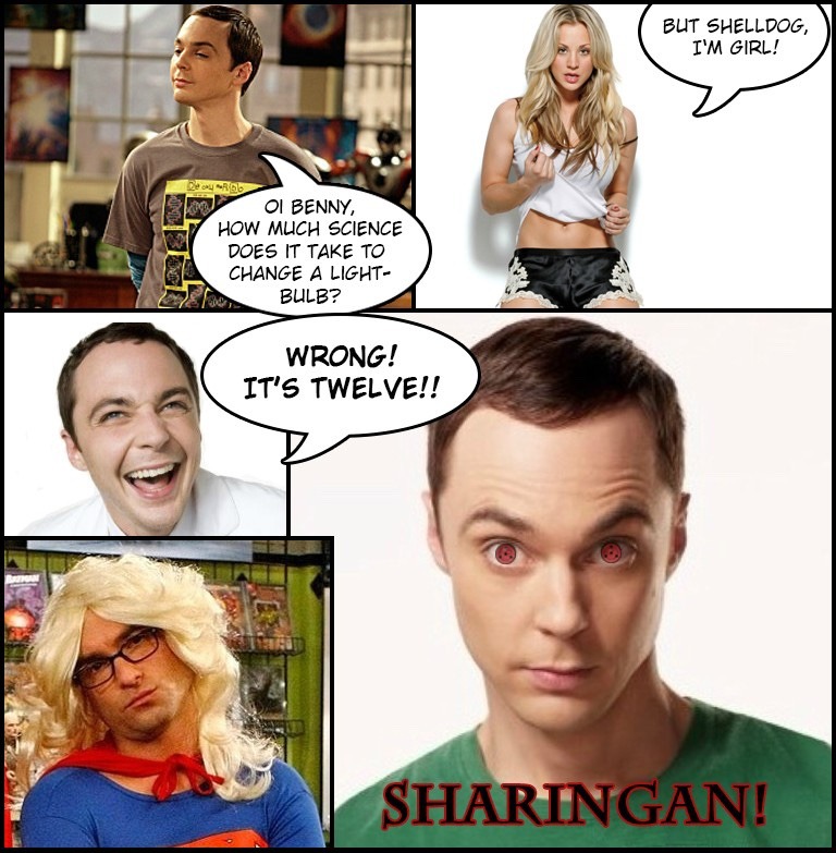 Funny Big Bang Theory Memes9.