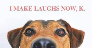 Funny Dog Memes (4)