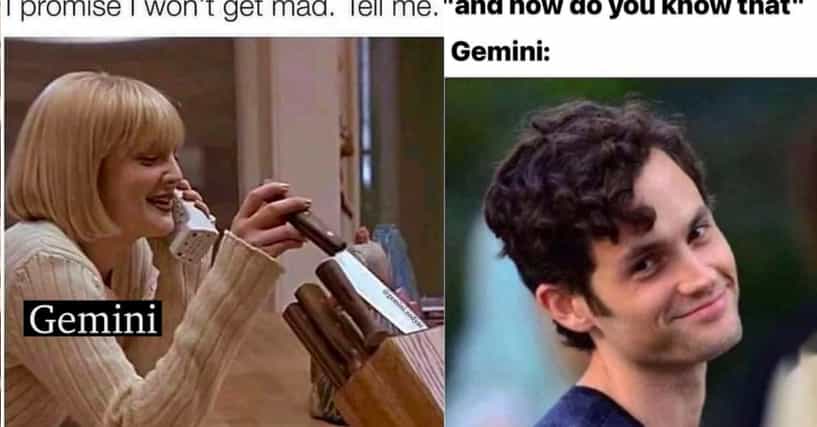 Funny Gemini Memes5