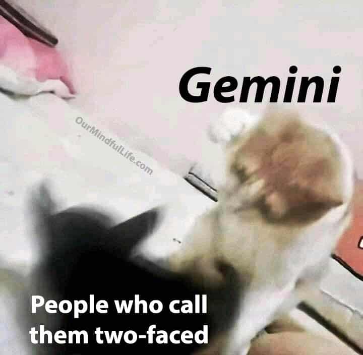 Funny Gemini Memes9