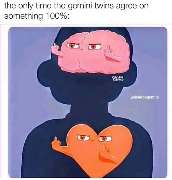 Funny Gemini Memes That Totally Get It Ourmindfullife.com 19