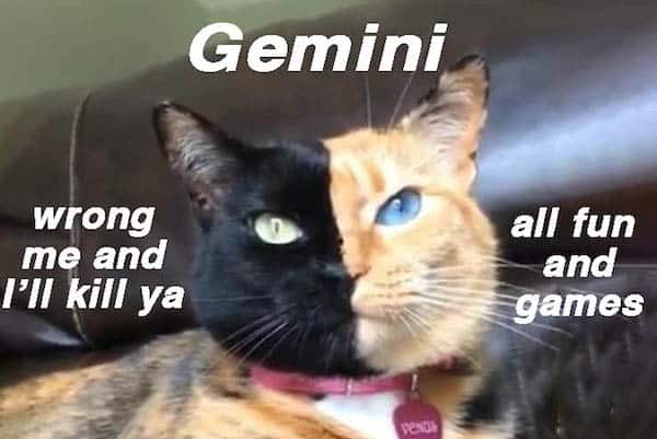 Funny Gemini Memes That Totally Get It Ourmindfullife.com 