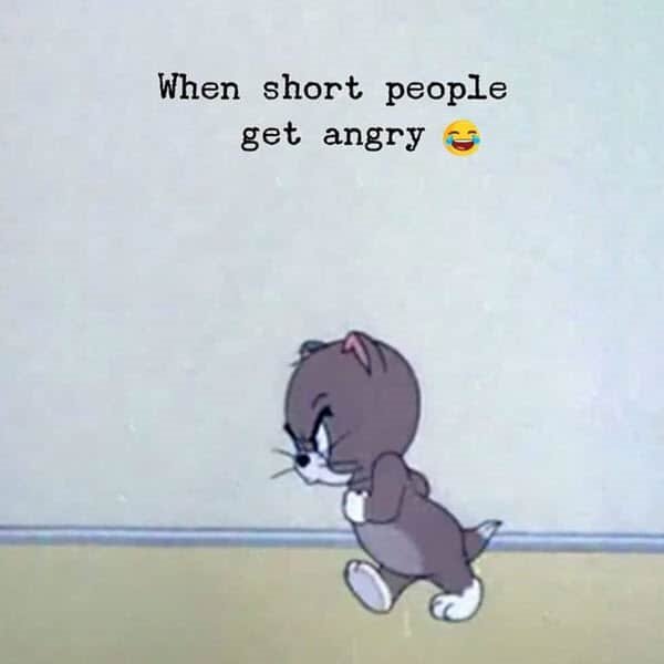Funny Short People Memes1