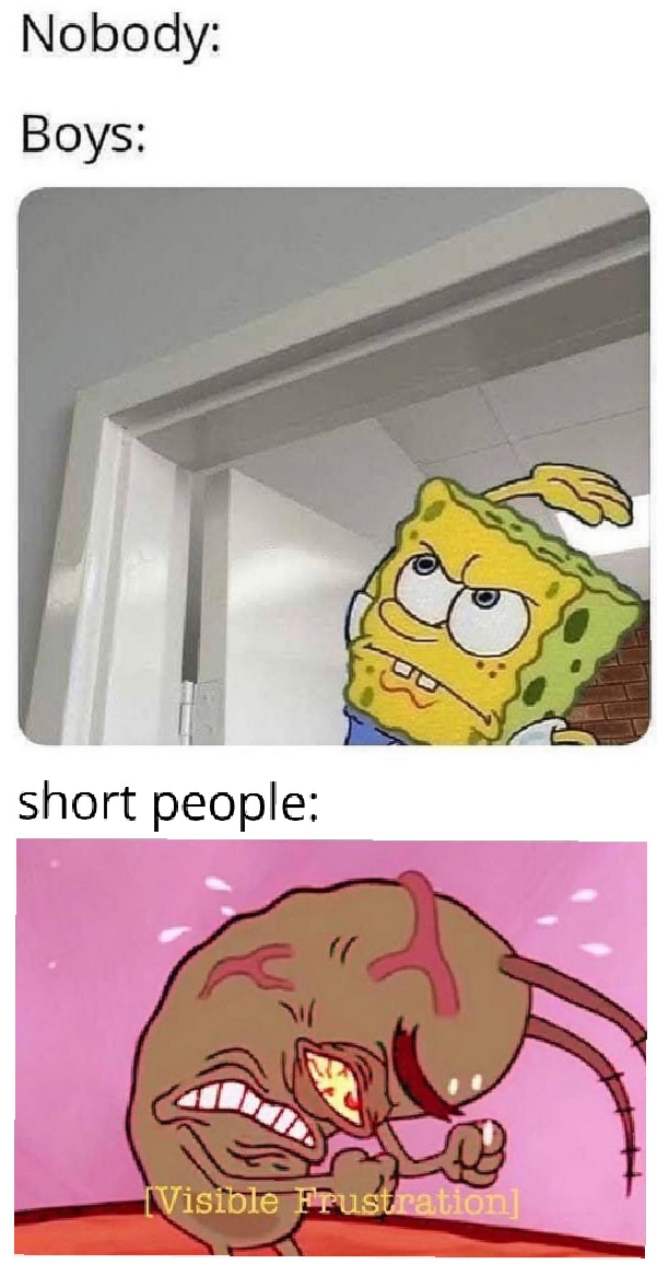 Funny Short People Memes6