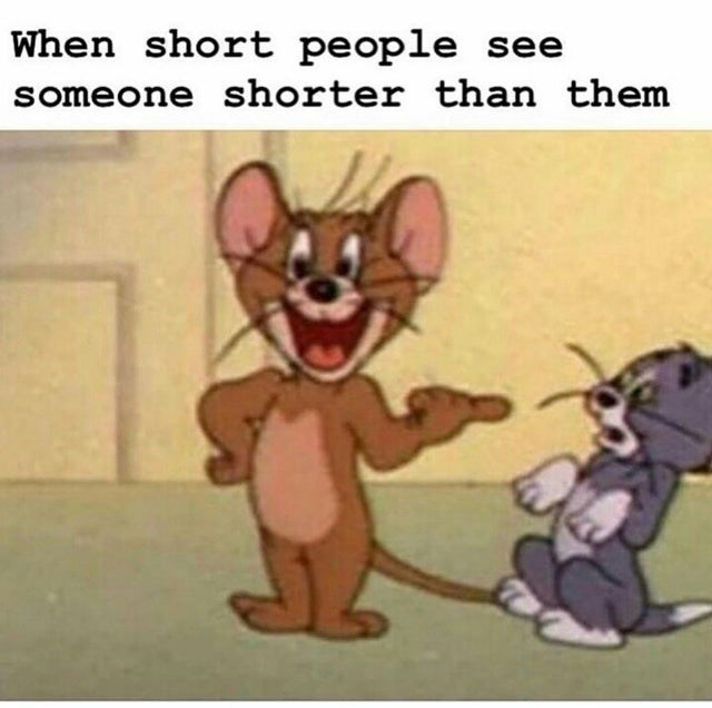 Funny Short People Memes8