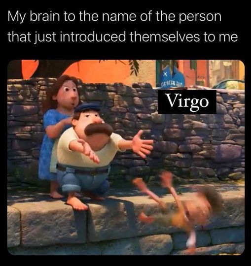 Funny Virgo Memes12
