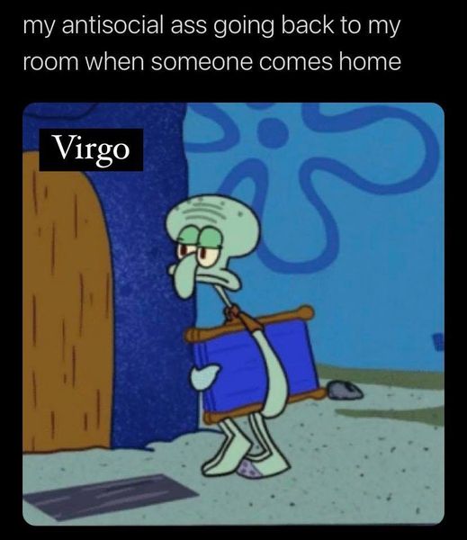 Funny Virgo Memes17