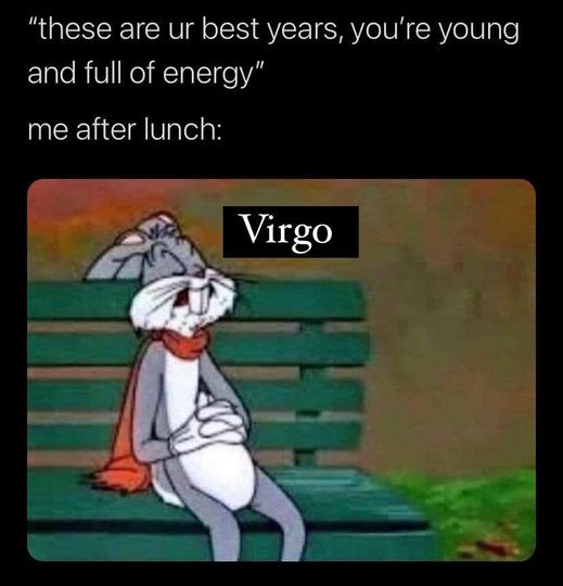 Funny Virgo Memes21