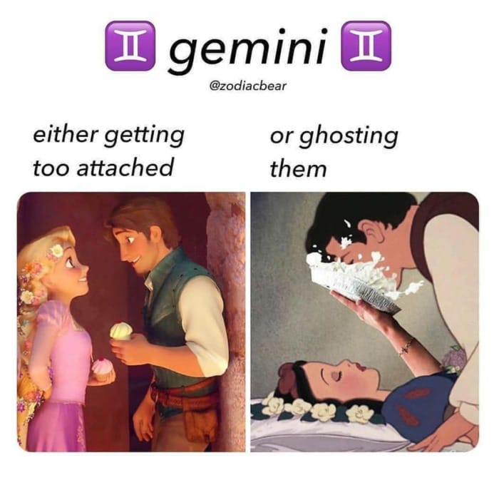 Gemini Memes 8