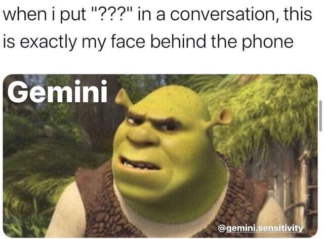 Gemini Memes1