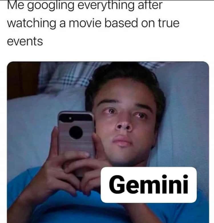 Gemini Memes12