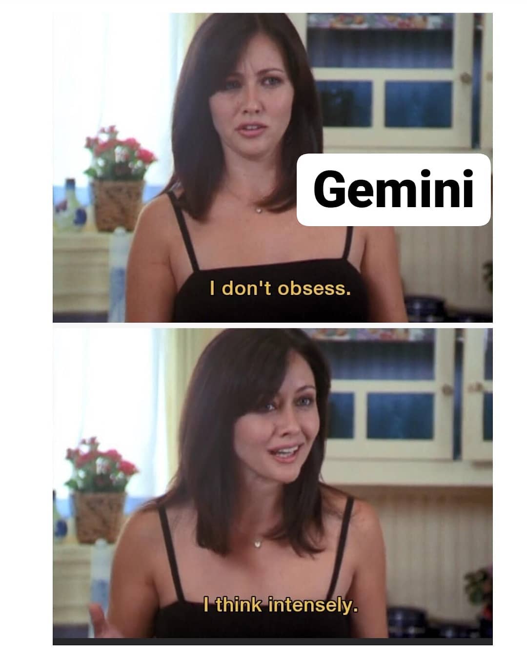 Gemini Memes13