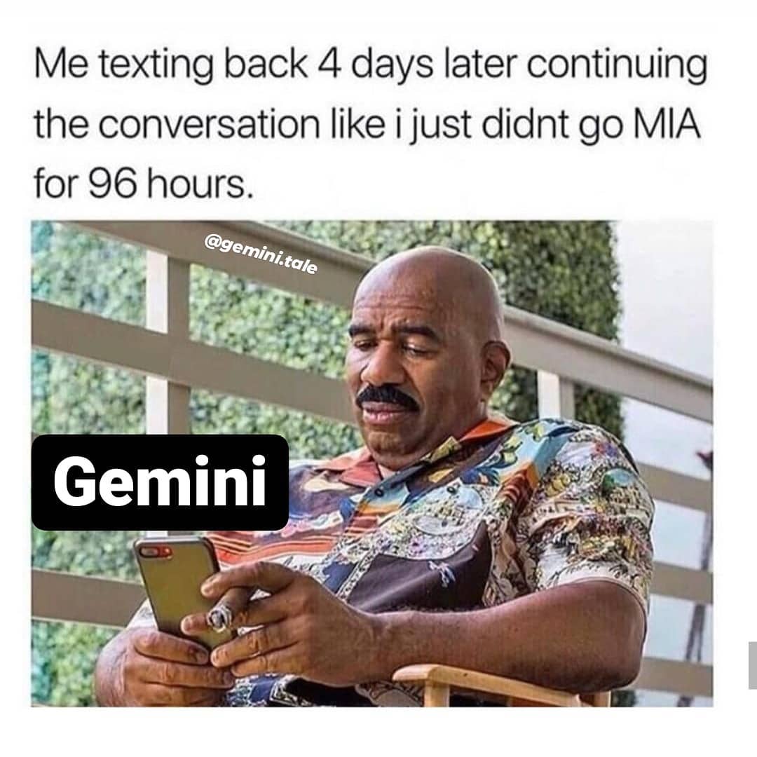 Gemini Memes15