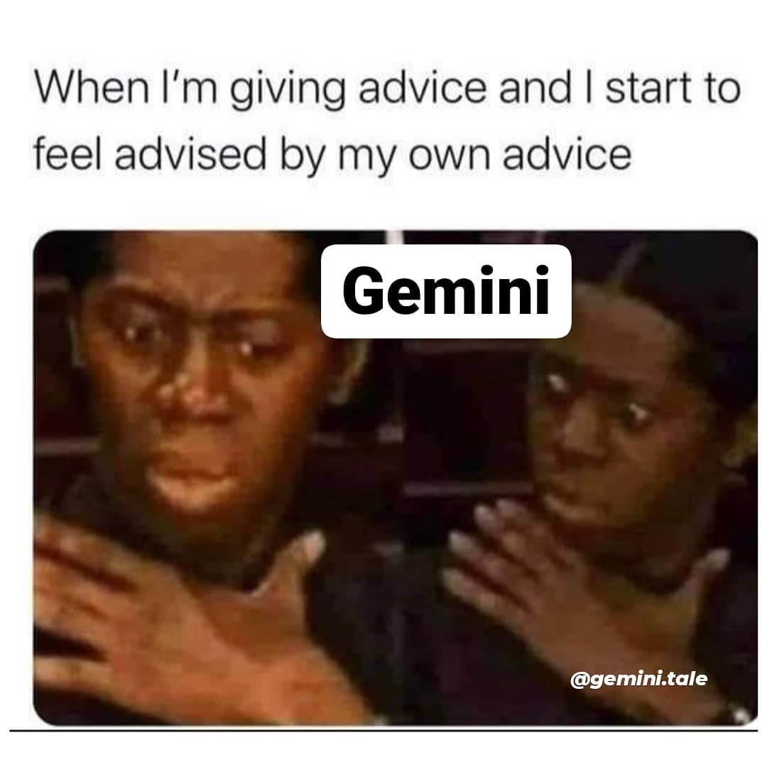 Gemini Memes16