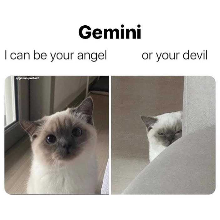 Gemini Memes18