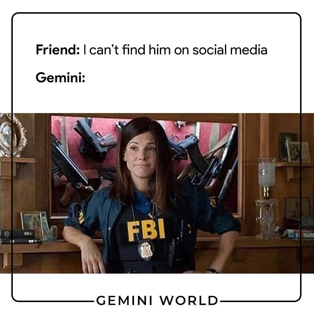 Gemini Memes21