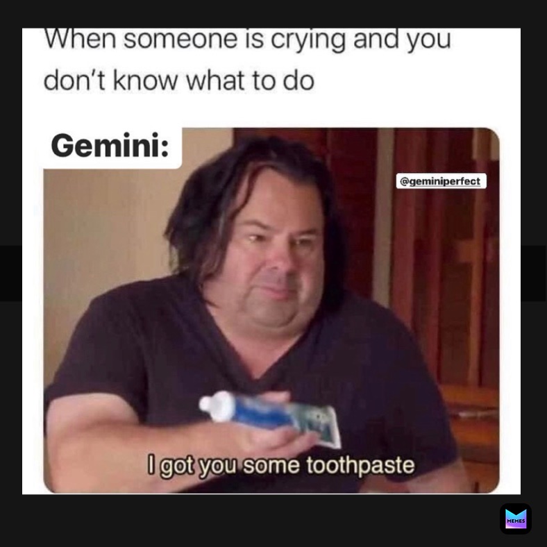 Gemini Memes6