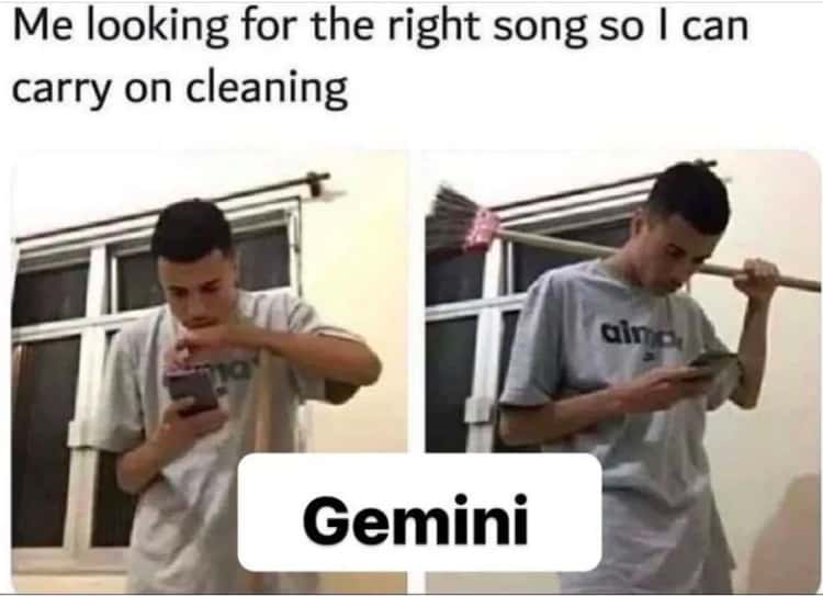 Gemini Memes8