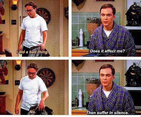 Hilarious Big Bang Theory Memes 20