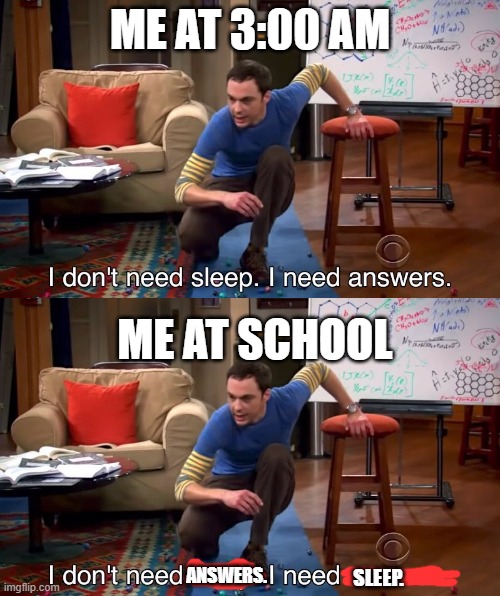 Hilarious Big Bang Theory Memes 23