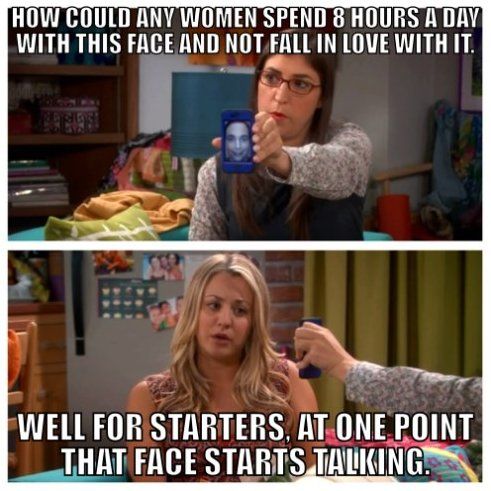 Hilarious Big Bang Theory Memes 28