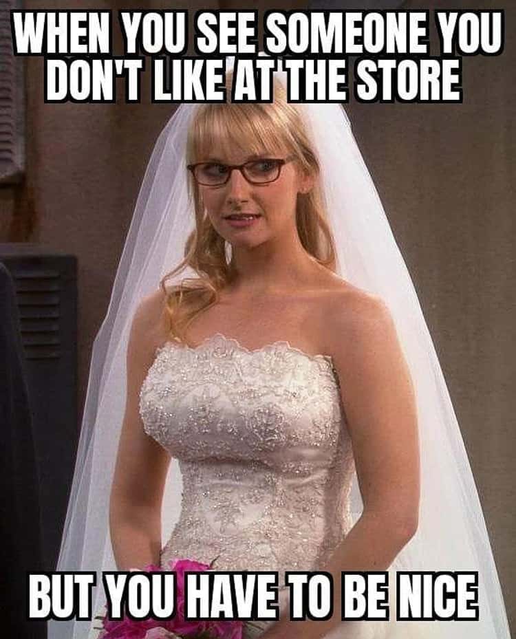 Hilarious Big Bang Theory Memes 3