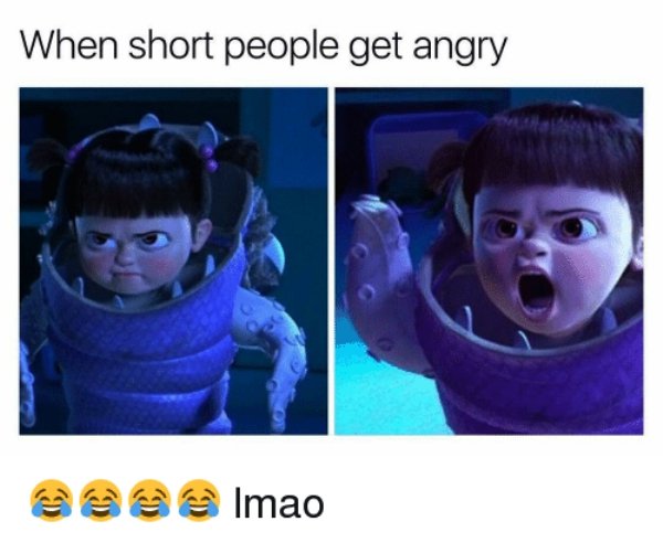 Short People Memes17
