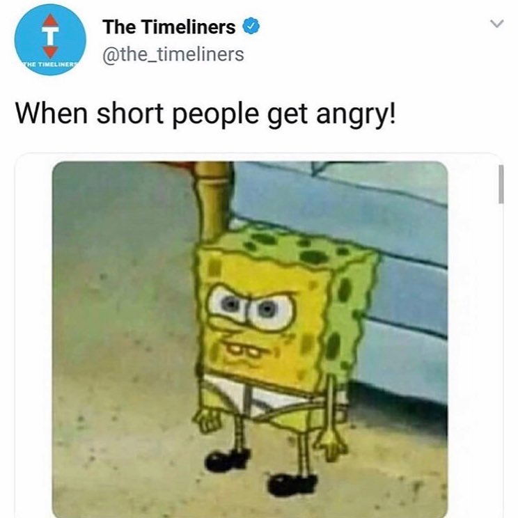 Short People Memes19