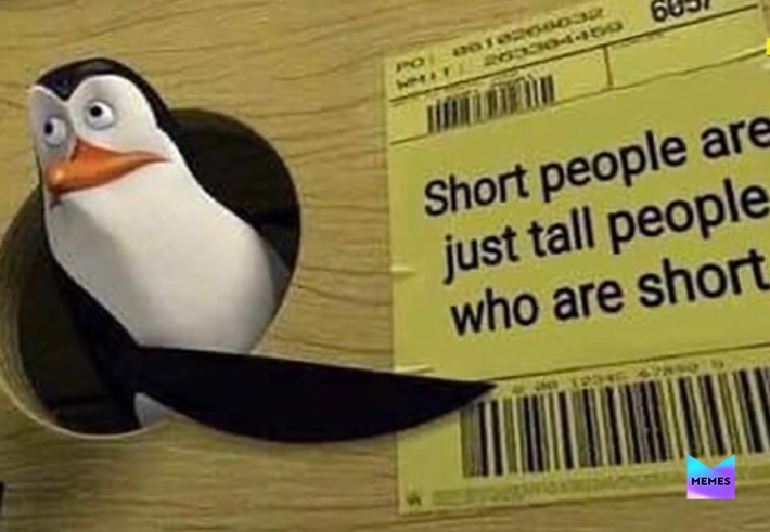 Short People Memes22