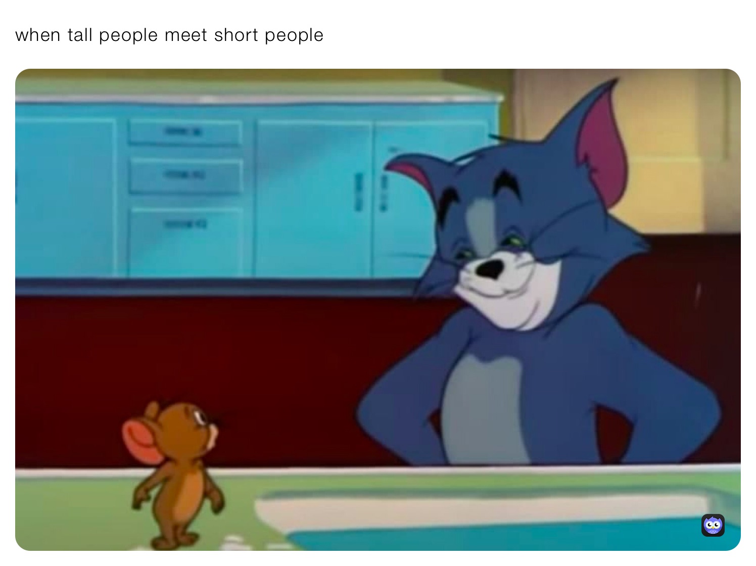 Short People Memes23