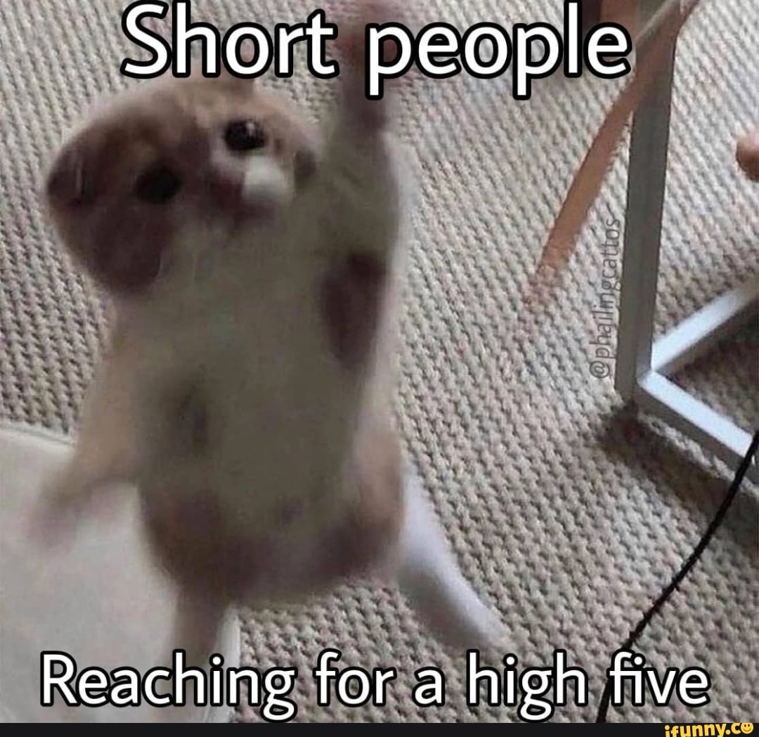 Short People Memes9
