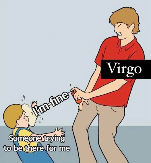 Virgo Memes2