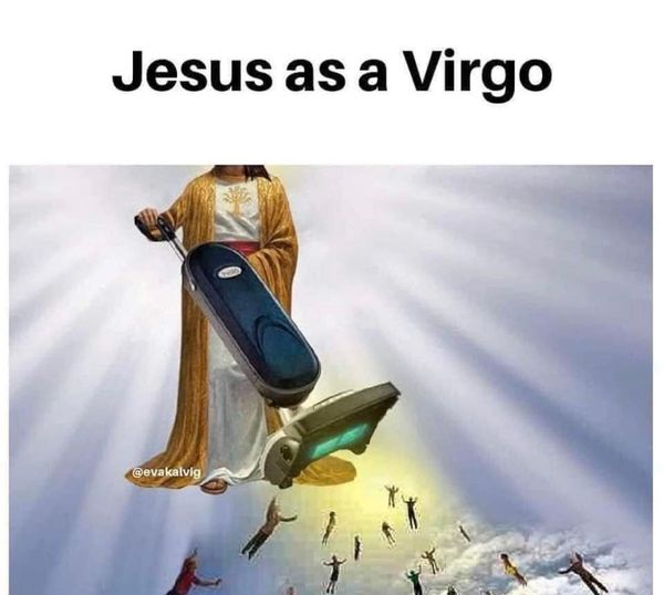 Virgo Memes3