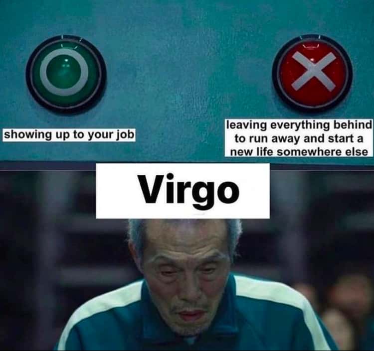 Virgo Memes7